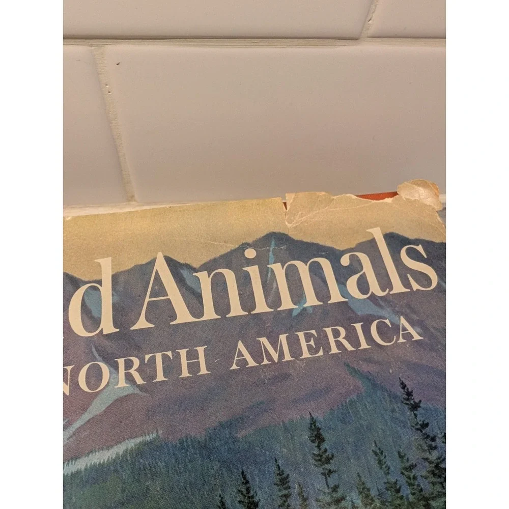 National Geographic Wild Animals Of North America VG HC